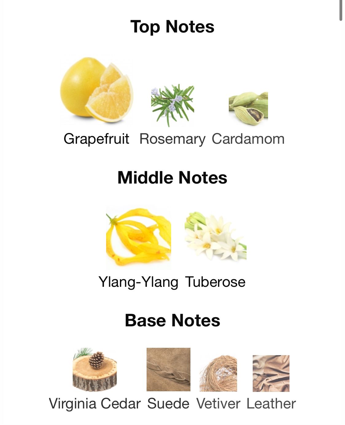 Dashing Blue - Impression - 50ml