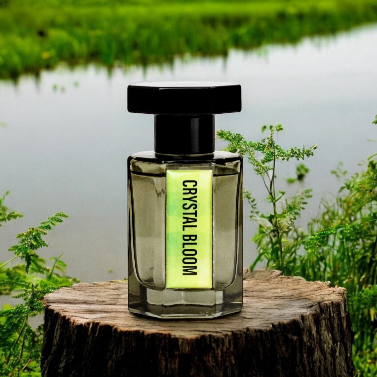 Crystal Bloom - Impression