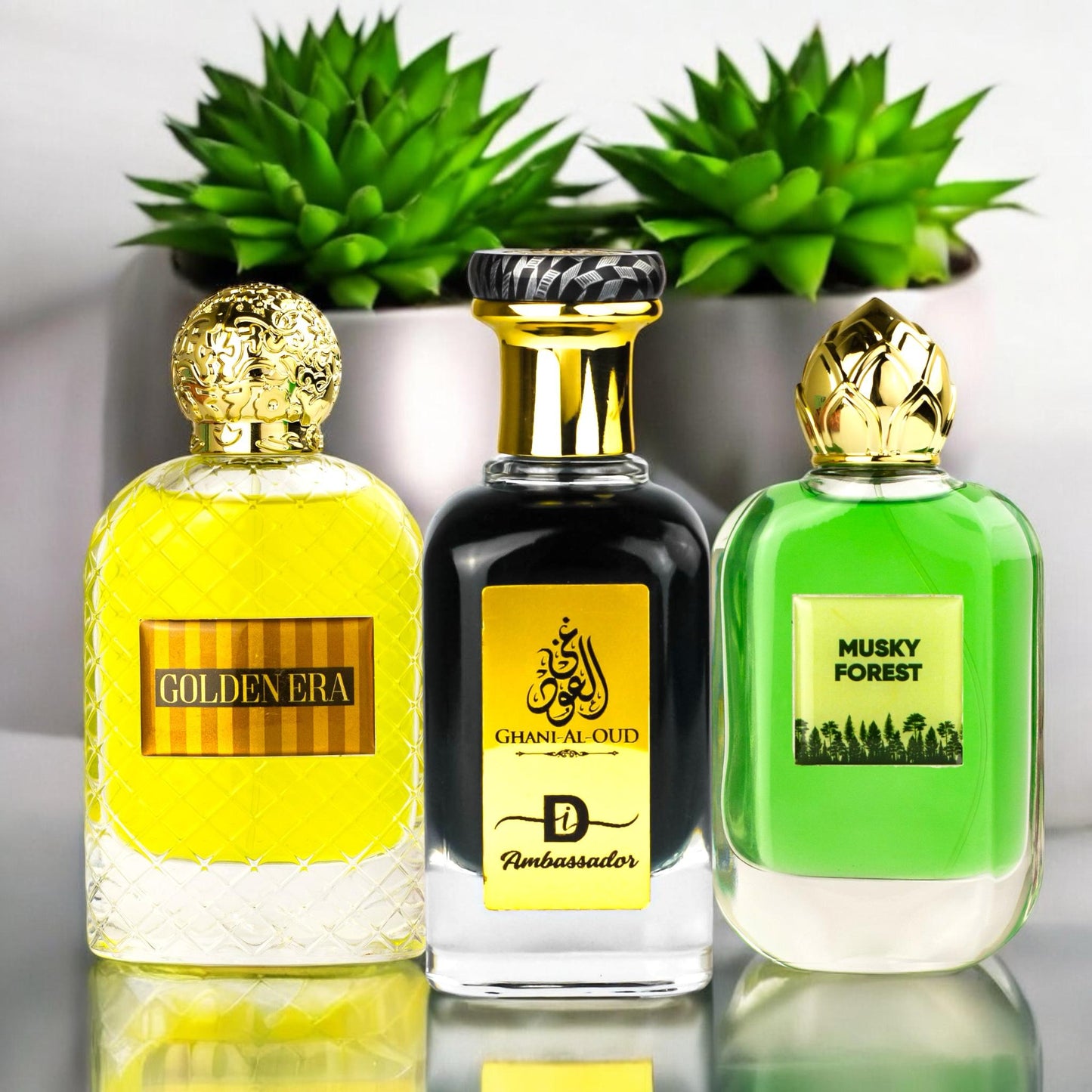 Exclusive Ramadan Deal Pack of 3 by Ghani Al Oud